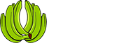 Ndizi Microfinance Limited